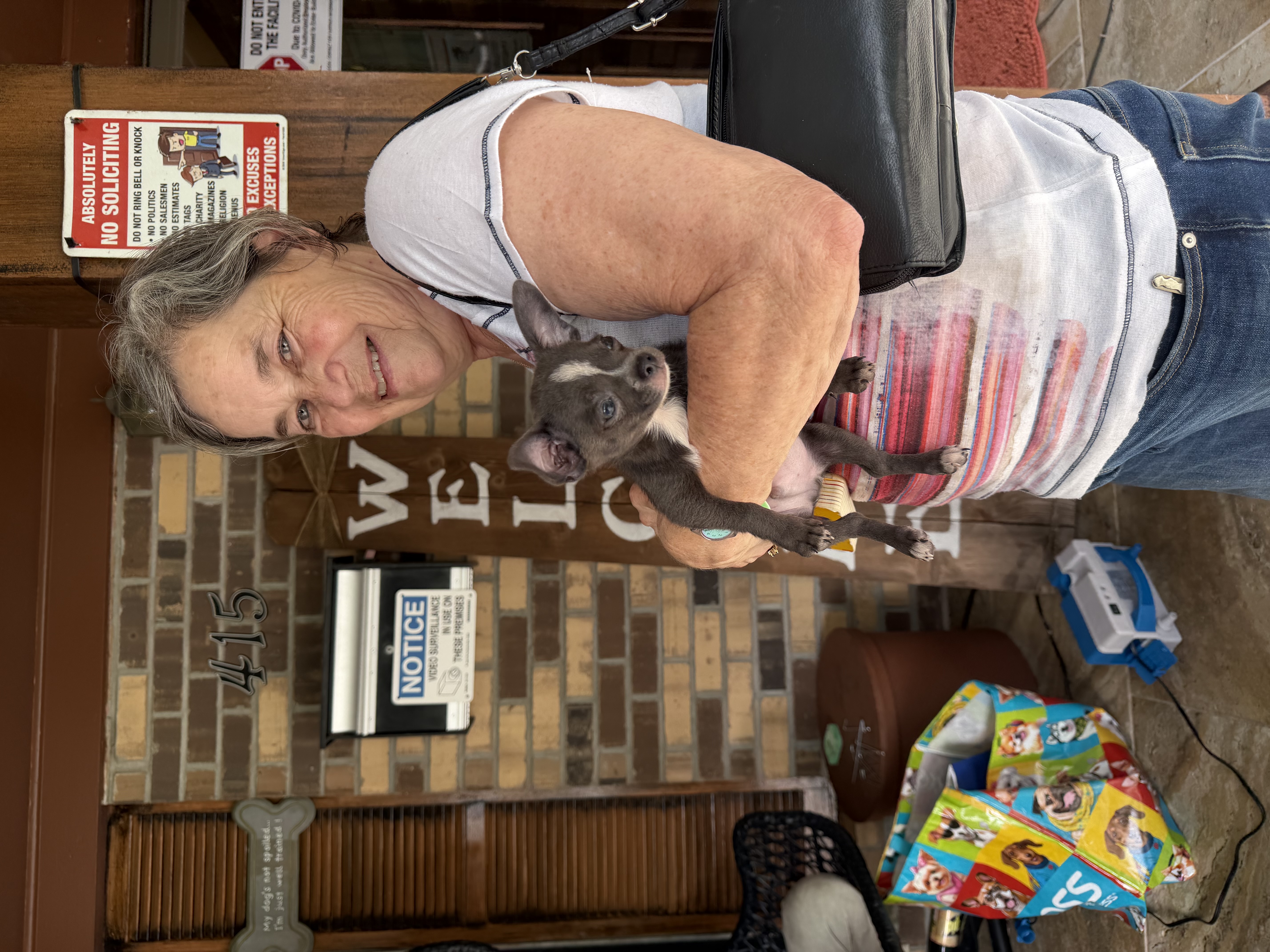 Southeast Texas Angel Face Yorkies and Charming Chihuahuas Boujii Babies