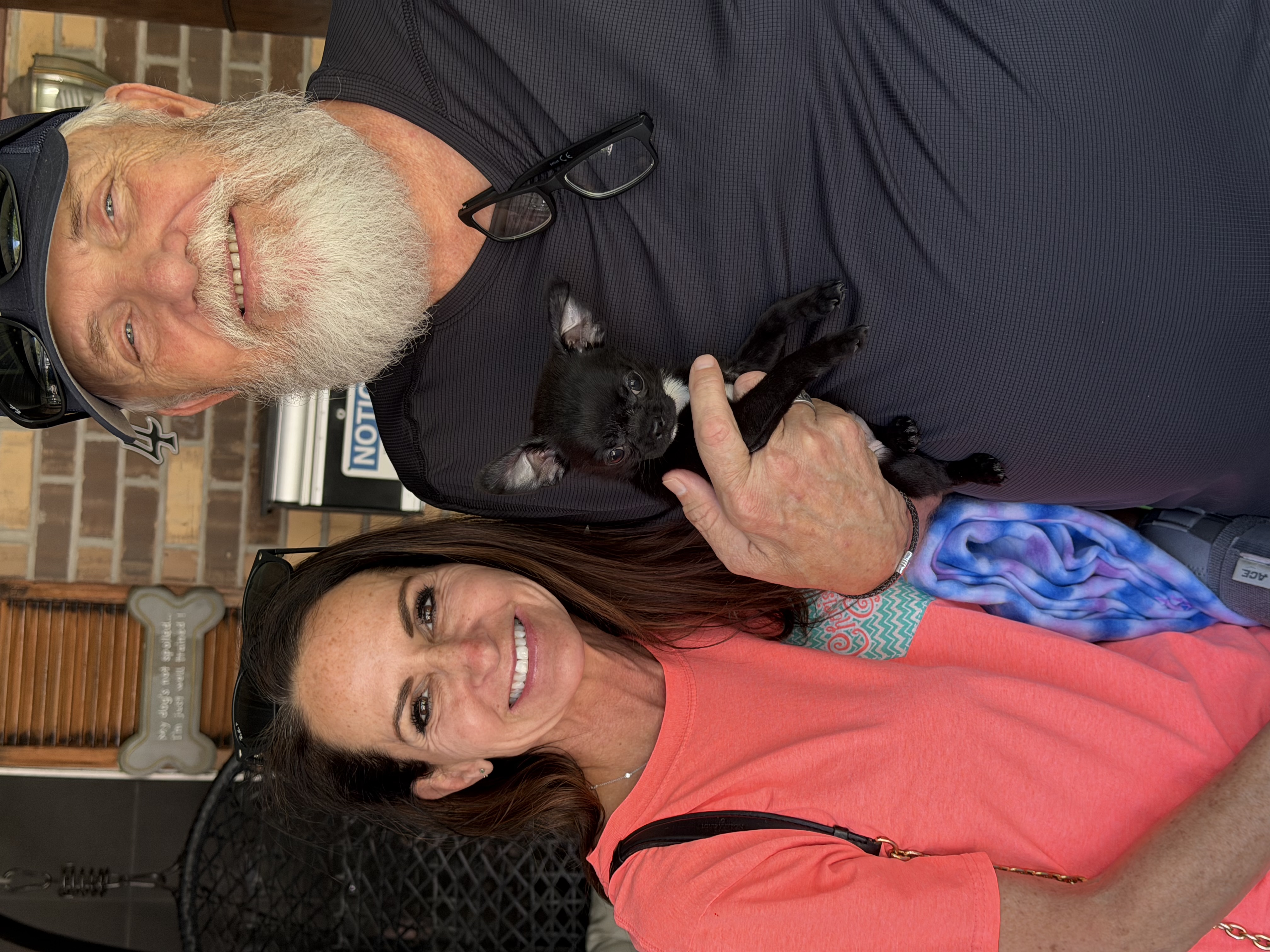 AKC Registered Yorkie and Chihuahua puppies - Southeast Texas Angel Face Yorkies and Charming Chihuahuas 
