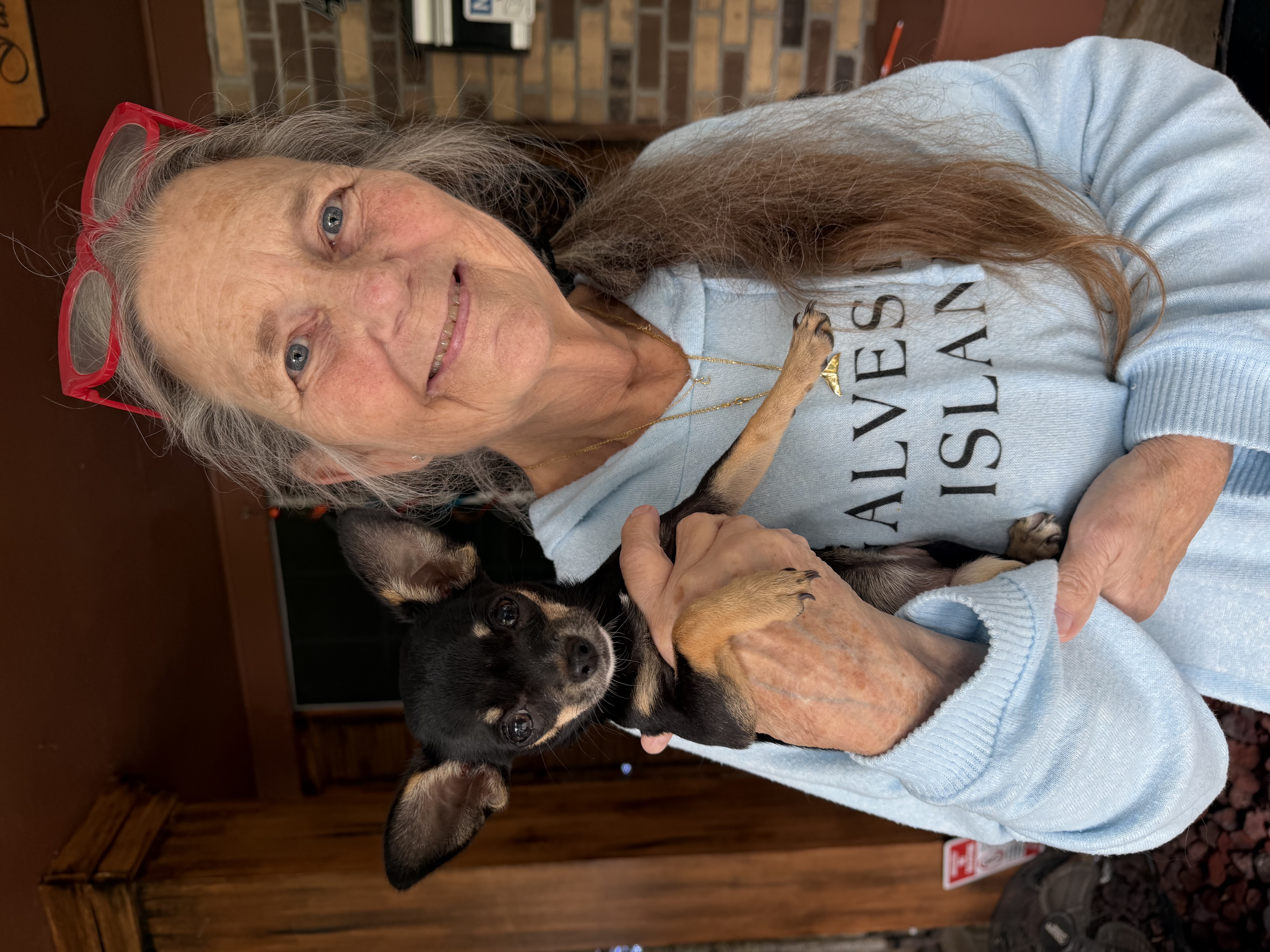 AKC Registered Yorkie and Chihuahua puppies - Southeast Texas Angel Face Yorkies and Charming Chihuahuas 