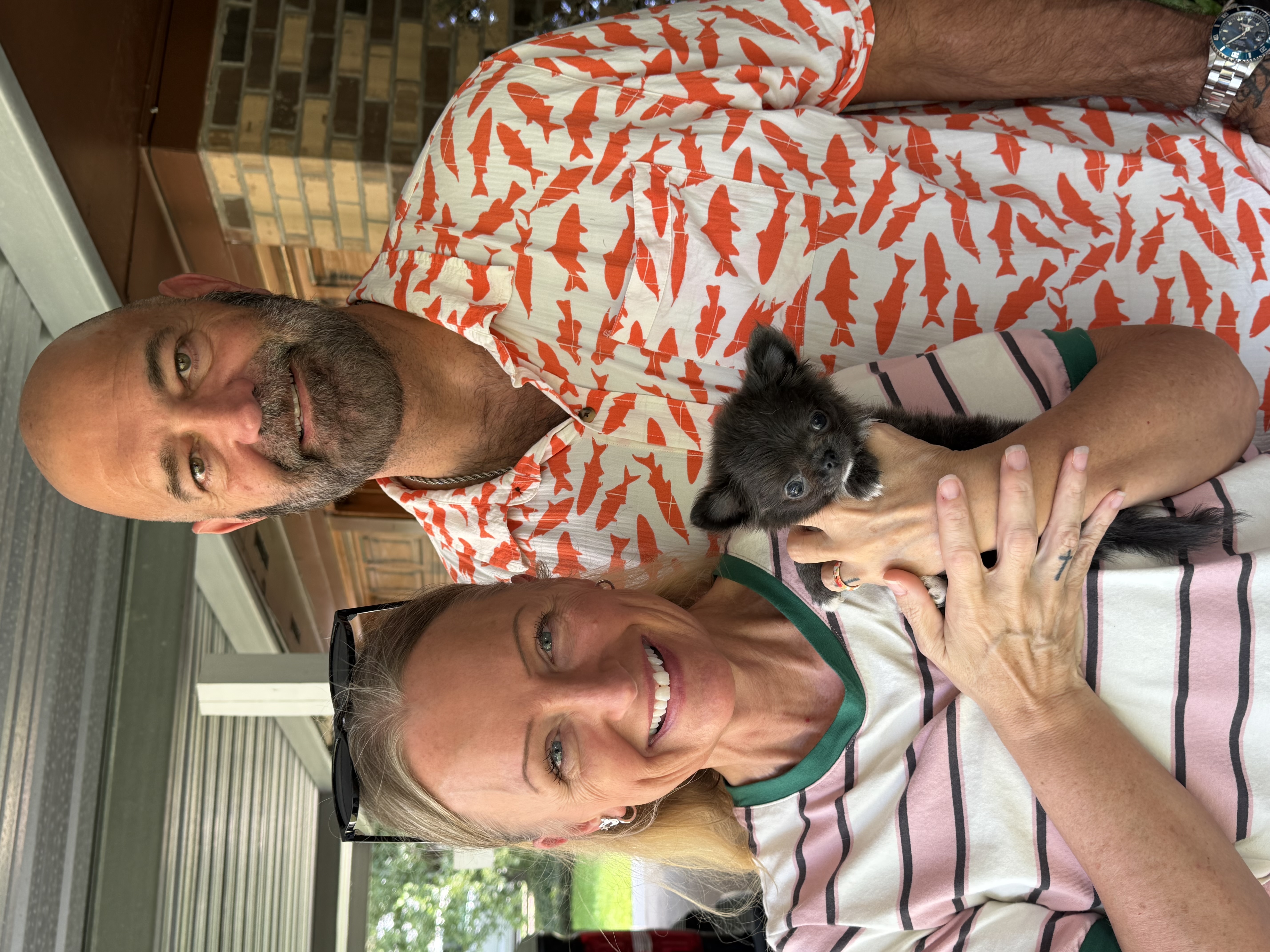 AKC Registered Yorkie and Chihuahua puppies - Southeast Texas Angel Face Yorkies and Charming Chihuahuas 