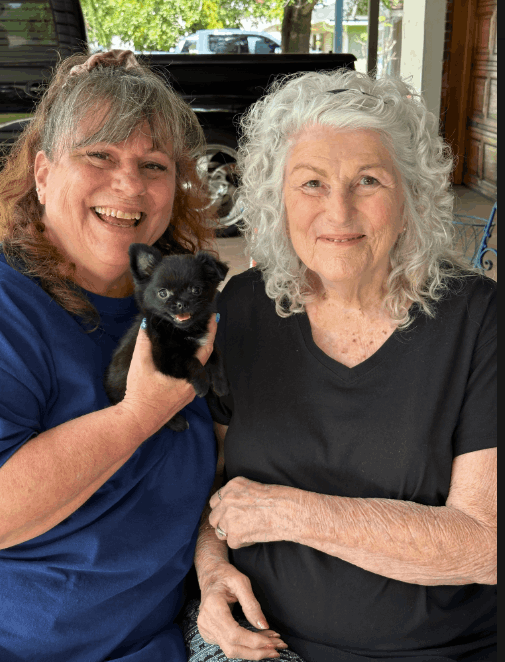 Southeast Texas Angel Face Yorkies and Charming Chihuahuas Boujii Babies